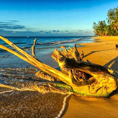 Casa Inca Villa Las Terrenas Ngoại thất bức ảnh